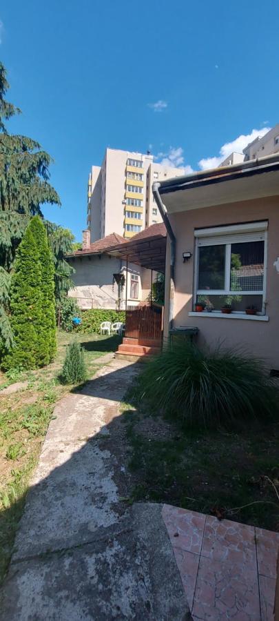 Appartement Garden à Satu Mare Extérieur photo